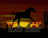 Black Horse